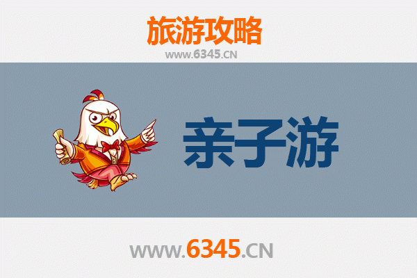 伊春红星亲子游攻略：探秘小兴安岭的自然课堂与森林奇遇