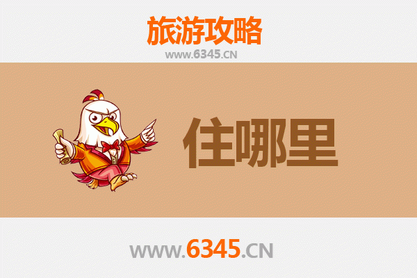 伊春红星旅游民宿攻略：森林秘境中的诗意栖居