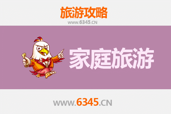 伊春红星家庭旅游全攻略：森林探秘与亲子乐趣之旅